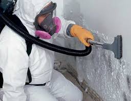 Best Residential Mold Inspection & Testing  in Geneseo, IL